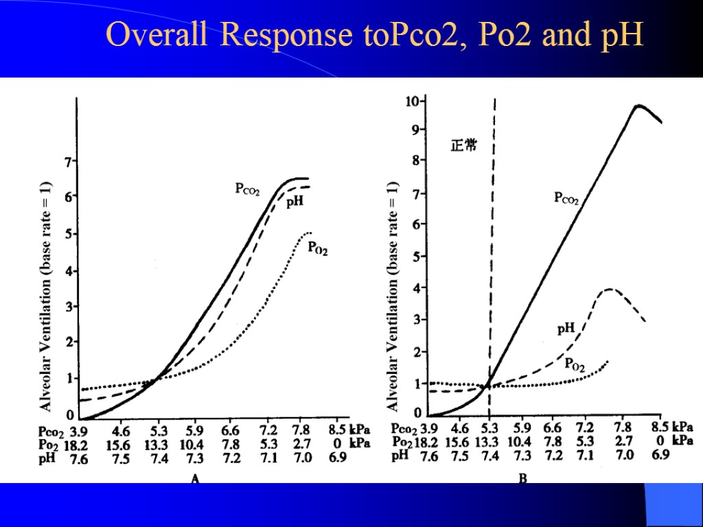 Overall Response toPco2, Po2 and pH